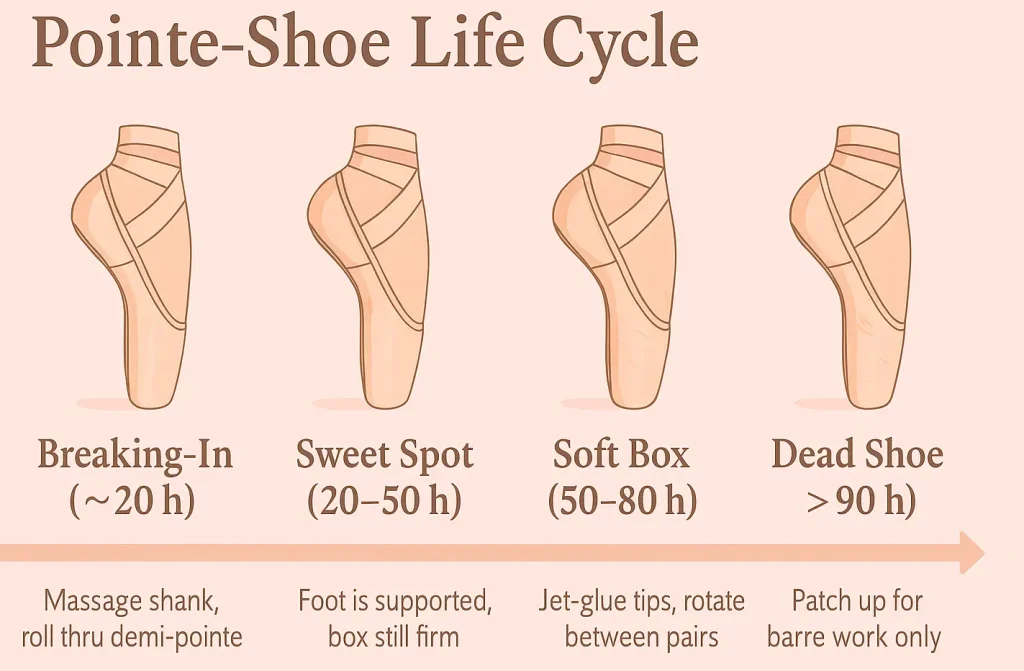 Pointe shoe life cycle